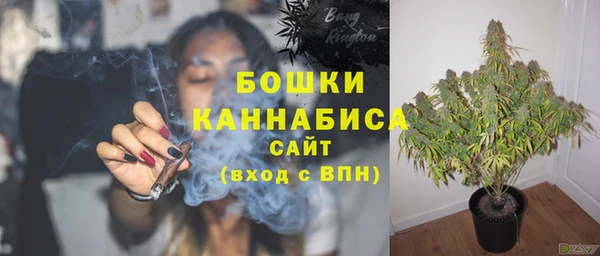 ГАЛЛЮЦИНОГЕННЫЕ ГРИБЫ Богородицк
