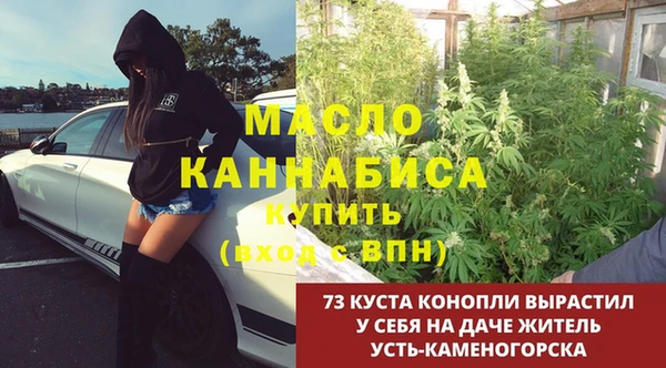 spice Богородск