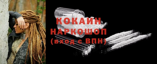 spice Богородск