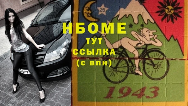 spice Богородск