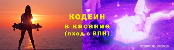 spice Богородск