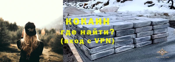 трава Бородино