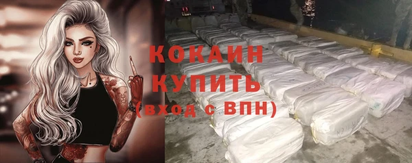 spice Богородск