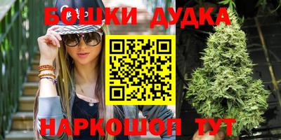 стаф Каменск-Шахтинский