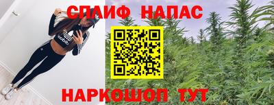 стаф Каменск-Шахтинский
