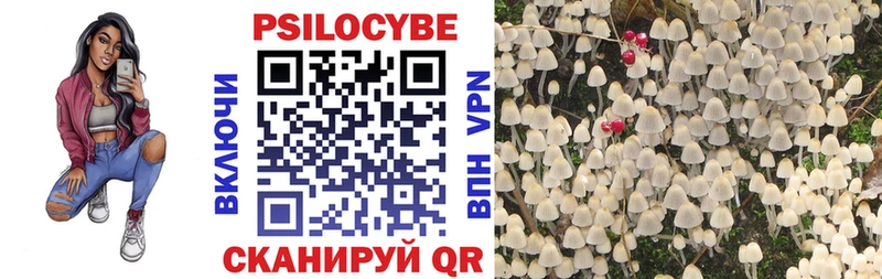 Псилоцибиновые грибы прущие грибы  Дальнегорск 