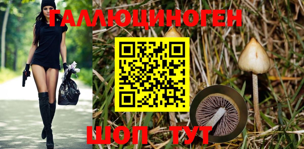 Дальнегорск  Галлюциногенные грибы мицелий  Вход с VPN 
